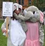 Manchester Global March for Elephants and Rhinos